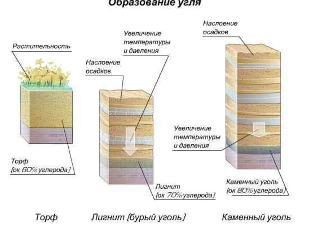 Образование угля