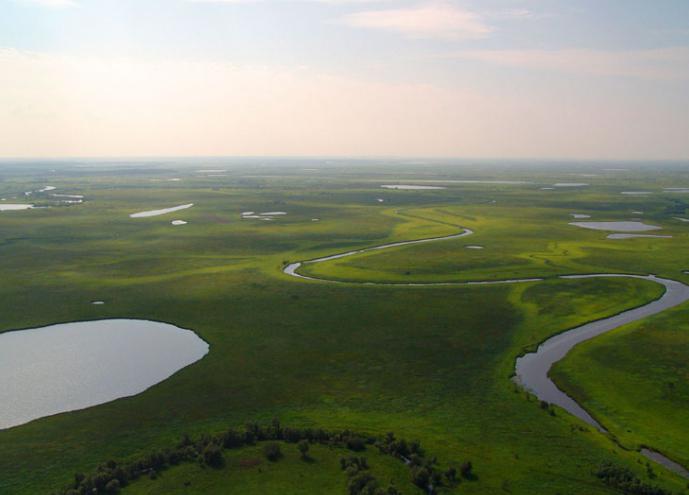 климат западной сибири 