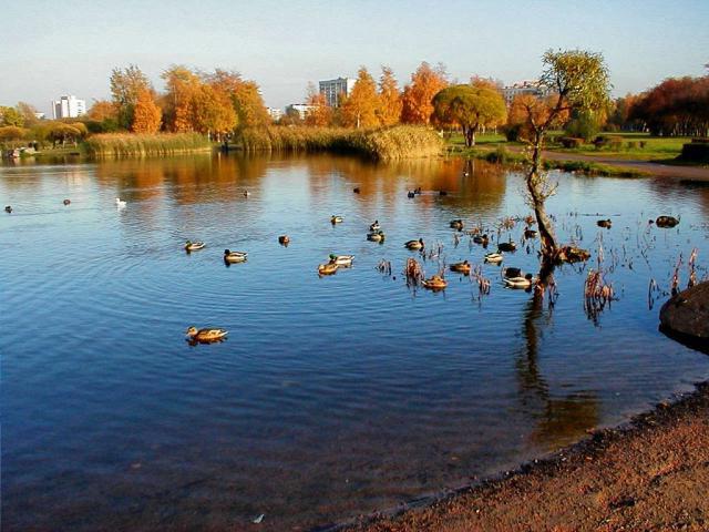 Полюстровский парк в спб