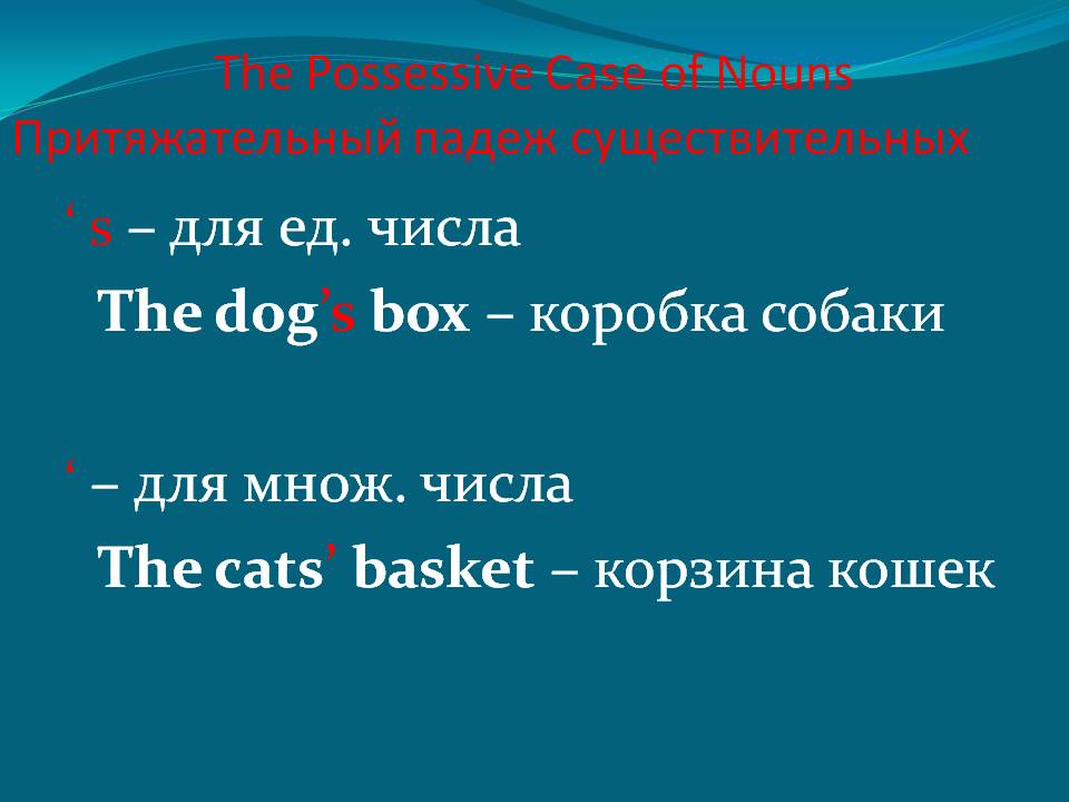 Множественное и единственное число притяжательных