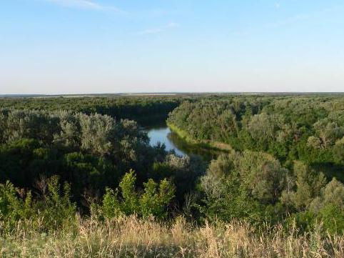 хоперский заповедник