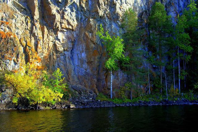 национальный парк паанаярви фото