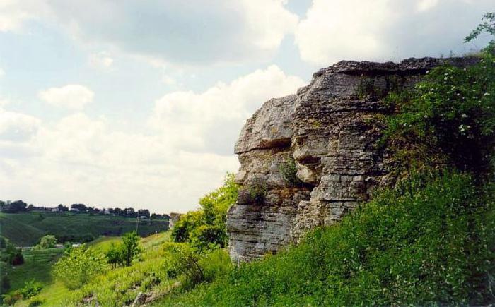 где находится заповедник галичья гора