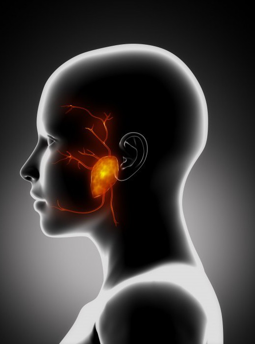 околоушная слюнная железа воспаление симптомы 