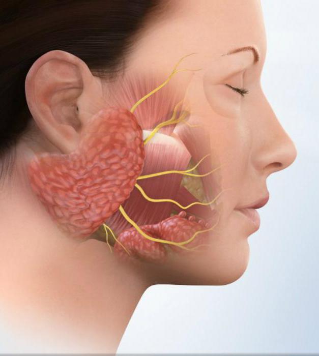причины воспаления околоушной слюнной железы 