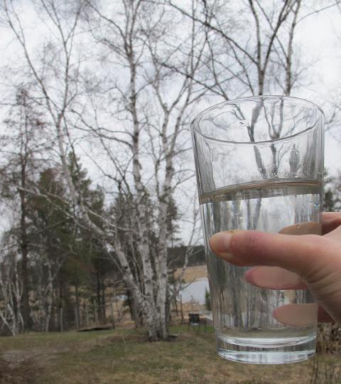 как закрыть березовый сок с лимоном 