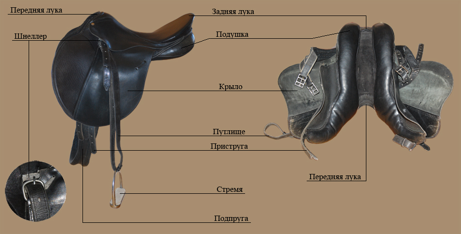 Конструкция седла для лошади