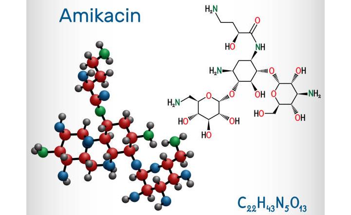 амикацин антибиотик