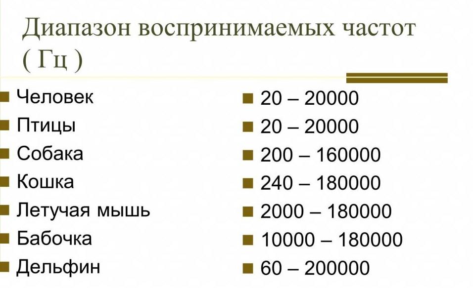 Диапазон воспринимаемых частот разных животных