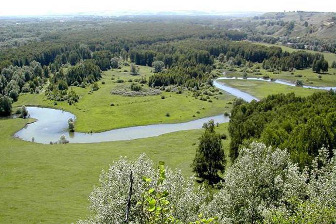 сердце алтая горный алтай