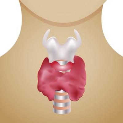 как определить проблемы с щитовидкой