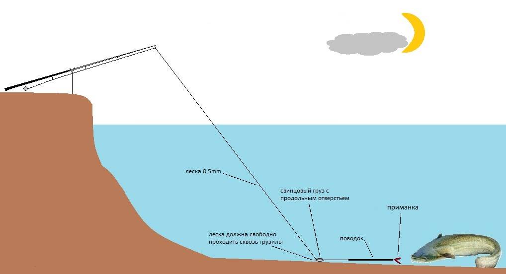 Правильное закидывание удочки на сома ночью