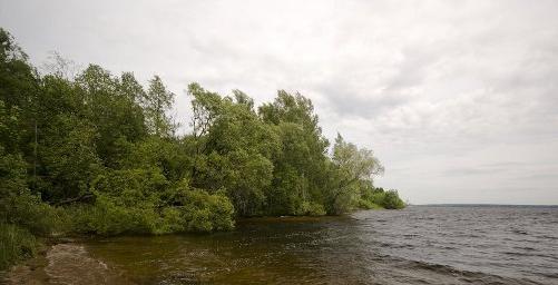 учинское водохранилище отдых