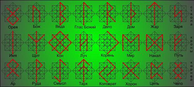 руны рода значение описание и их толкование