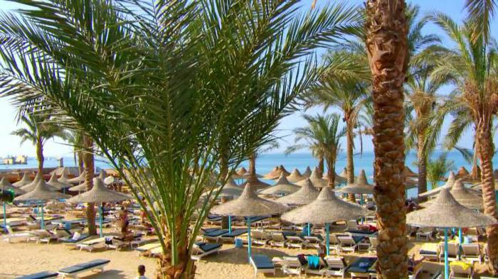 marlin inn beach resort hurghada