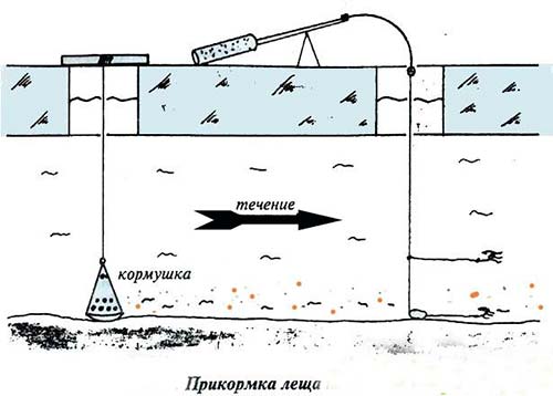 прикормка леща