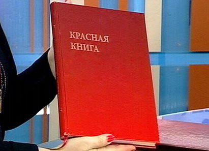 международная красная книга фото животных