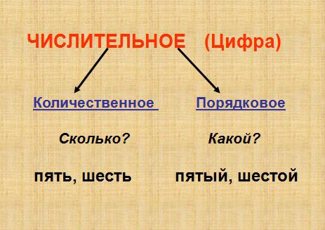 порядковые и количественные числительные