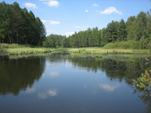 Ржевский лесопарк в Санкт Петербурге 