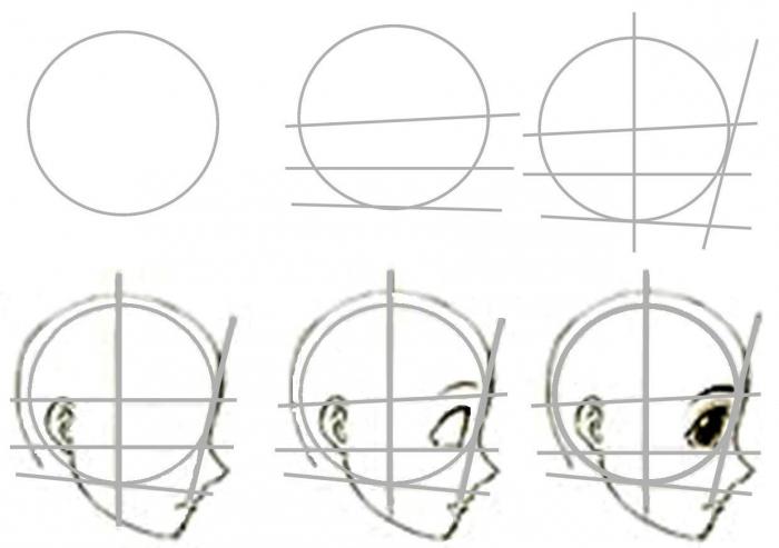 лицо в профиль рисунок карандашом