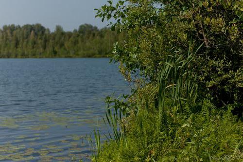 новостройки окский берег