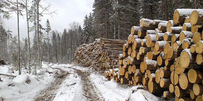 природные ресурсы урала история урала 