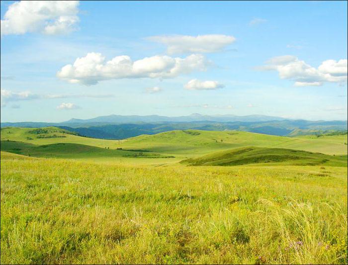 почему климат на западных и восточных склонах алтая различен 