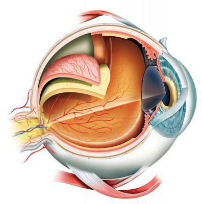 разрывы сетчатки глаза 