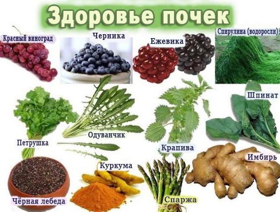 питание при почечной колике