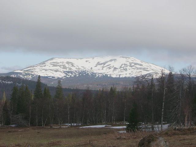 охранные системы периметра