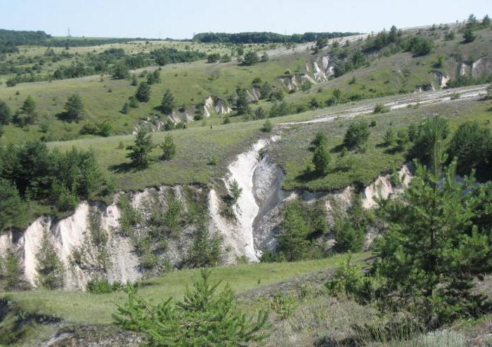 где находится Среднерусская равнина