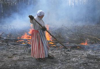 подсечно огневая система земледелия