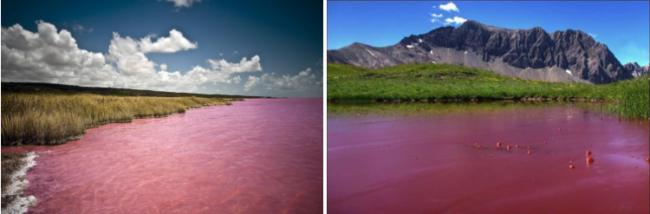 какого цвета вода