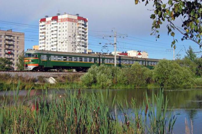 красносельский район санкт петербурга