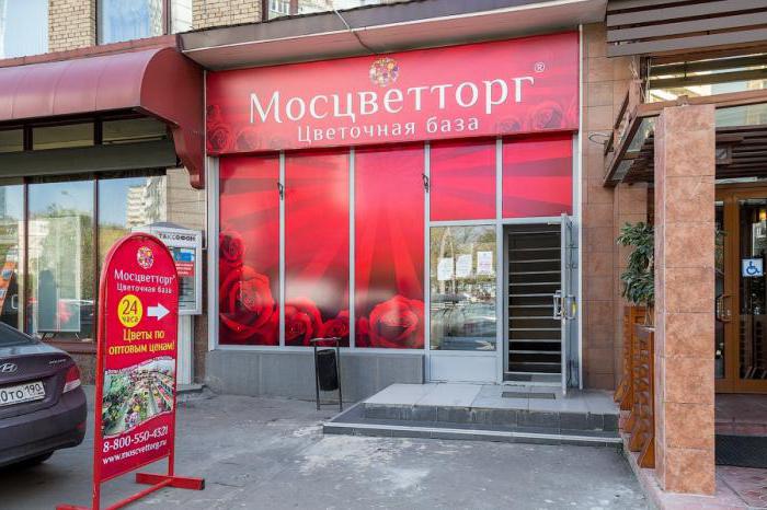 работа в мосцветторге