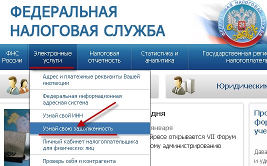 Сайт ФНС