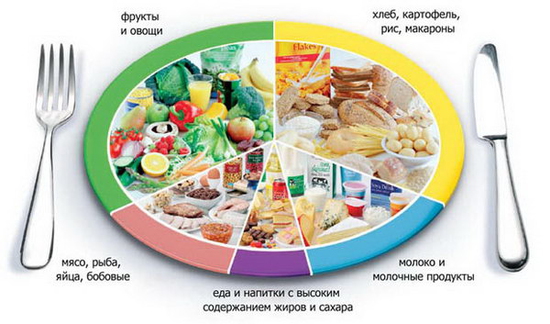 О питании для быстрой беременности