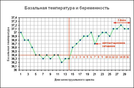 График БТ