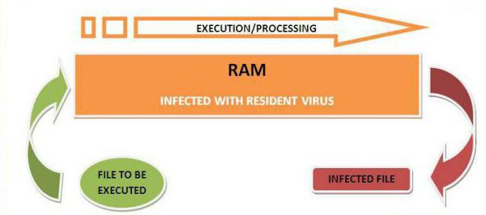 резидентные вирусы 