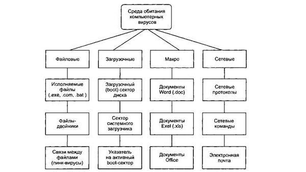 Классификация вирусов по среде обитания