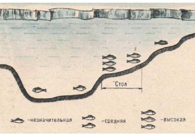 Как сделать зимний фидер