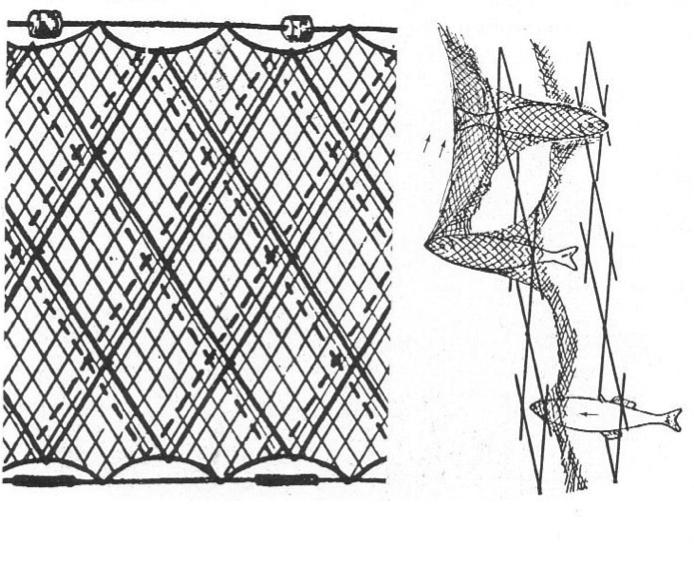 сети рыболовные трехстенные