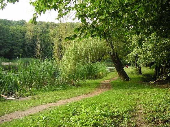 голосеевский парк