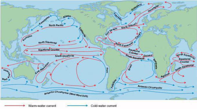 океанические течения