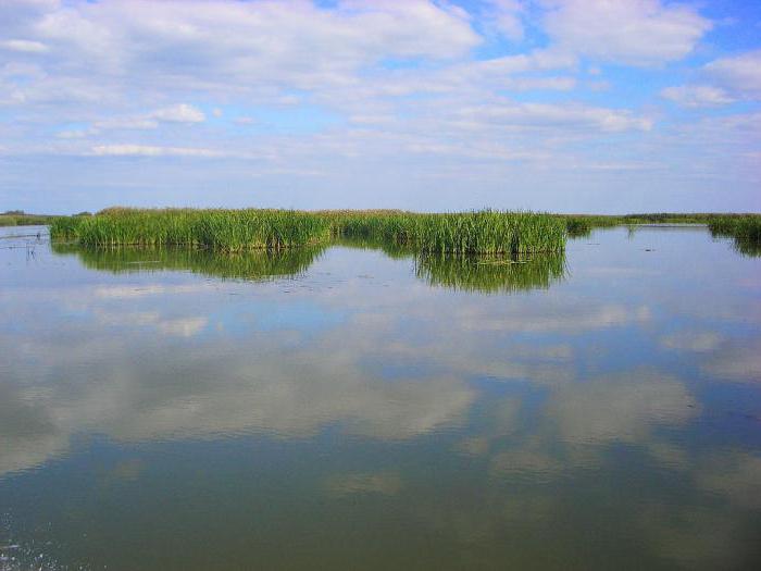 дельта волги