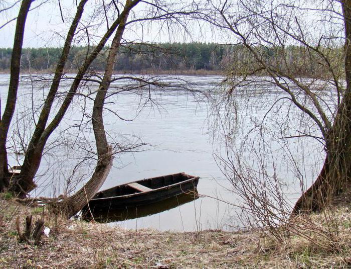 правый приток днепра