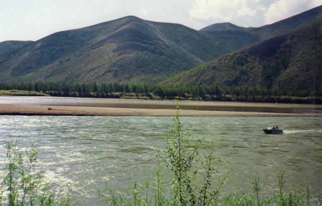 где находится колымская низменность