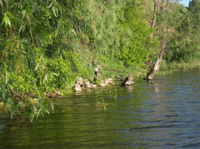 озеро старица новосибирск