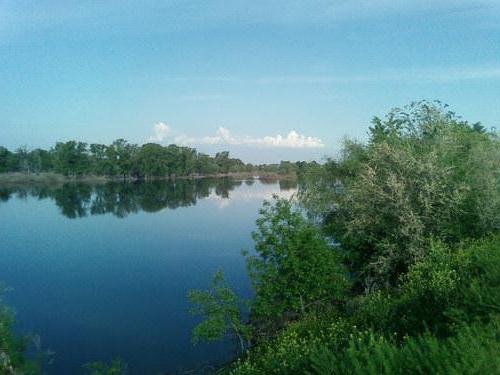 рыбалка в самарской области