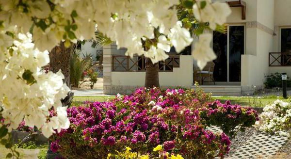 coral beach hotel hurghada 4 